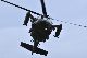 image0294