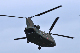 image0431
