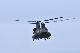 image0437