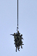 image0492