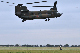 image0517