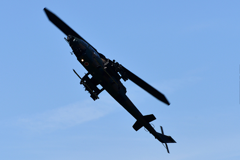 image0223