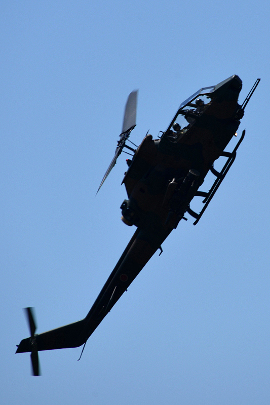 image0271