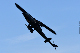 image0223