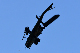 image0227