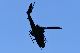 image0228