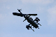 image0239