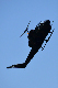 image0272