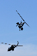 image0283