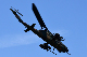 image0291