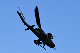 image0292