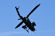 image0293