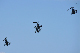 image0341