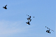 image0373