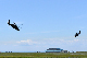 image0463