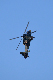 image0493