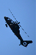 image0506