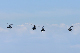 image0514