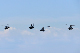 image0516