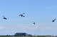 image0519