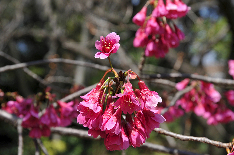 image0098