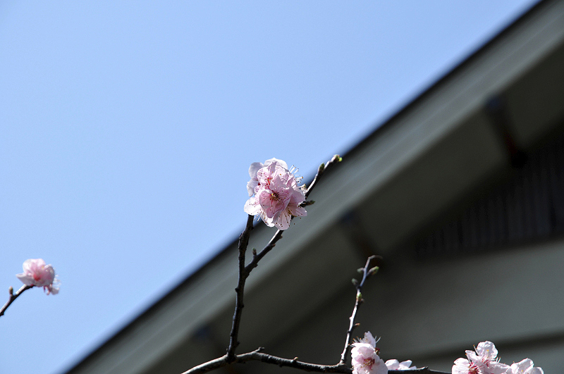 image0111