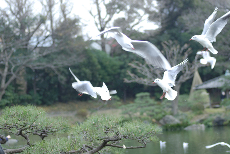 image0121