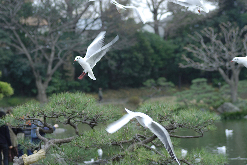 image0122