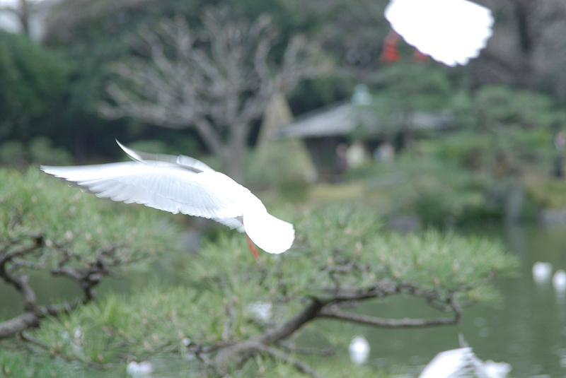 image0128
