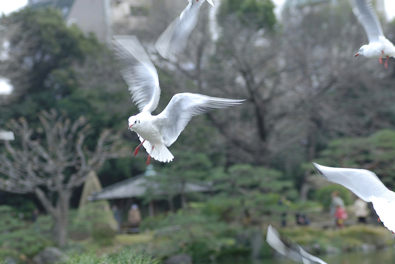 image0131