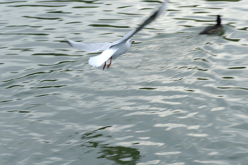 image0133