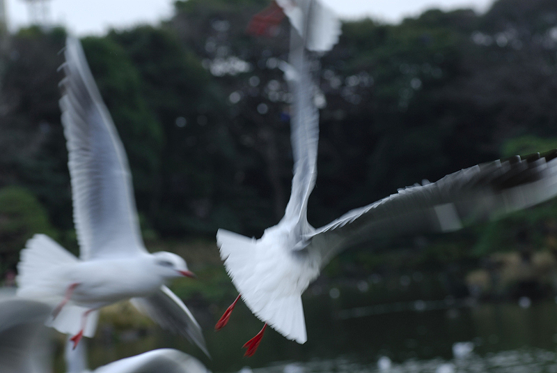 image0134