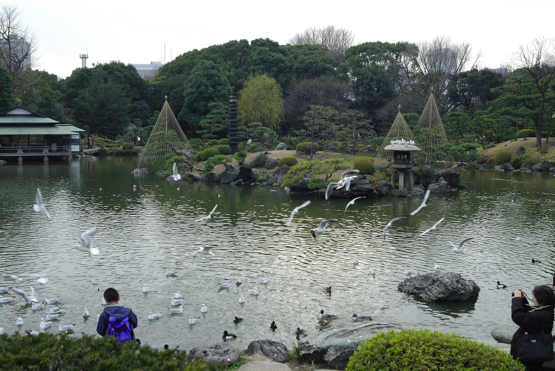 image0137