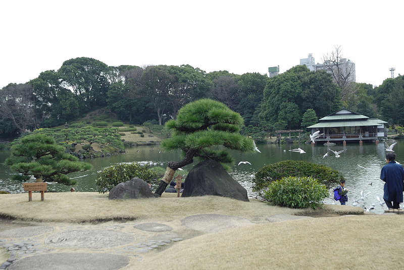 image0138