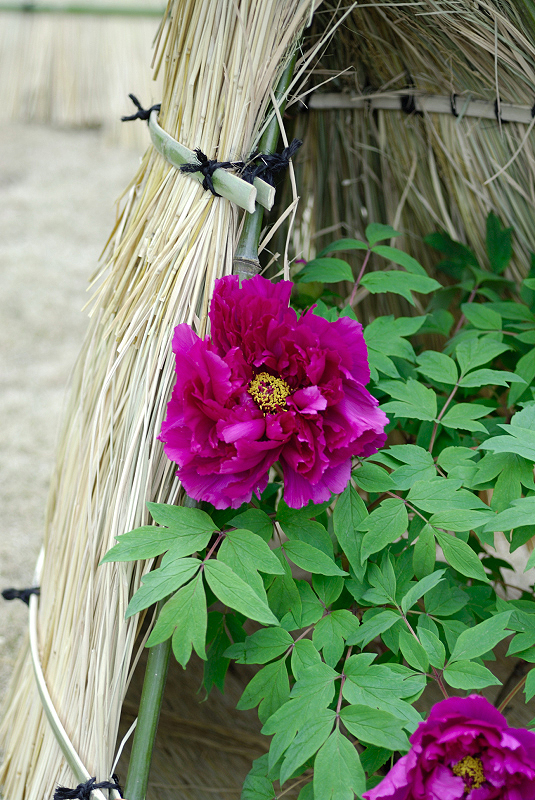 image0139