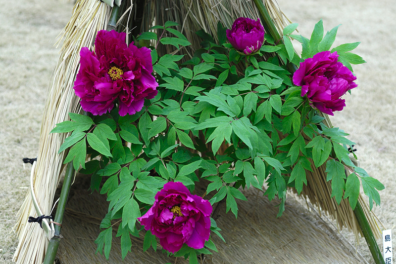 image0140