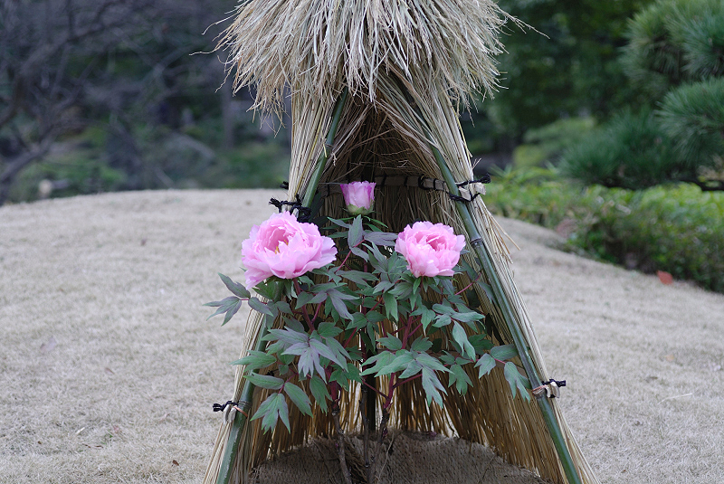 image0141