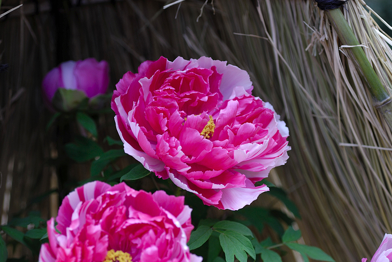 image0143