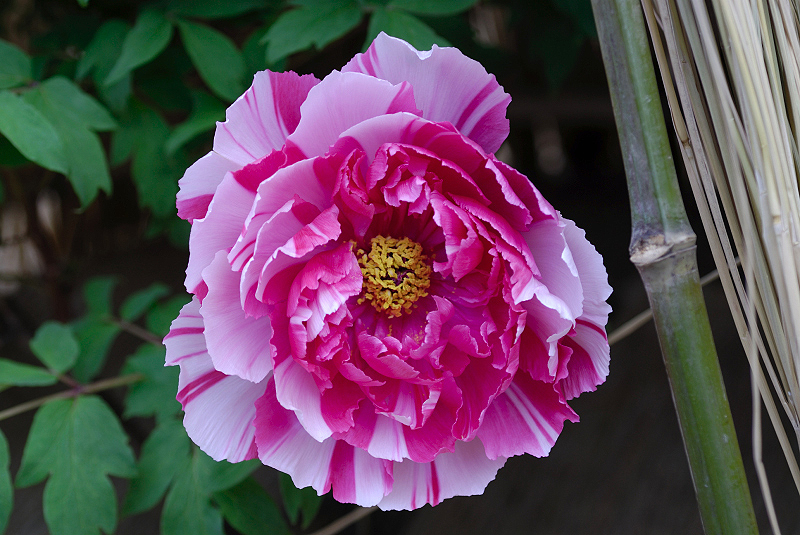 image0144