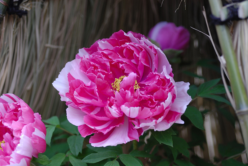 image0145
