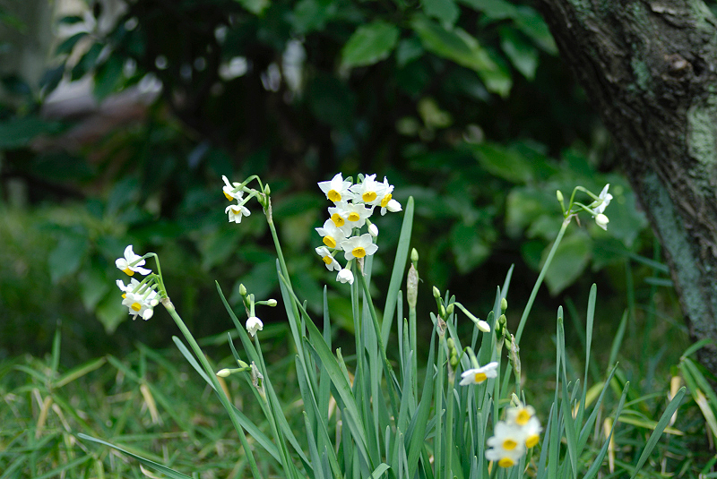 image0148