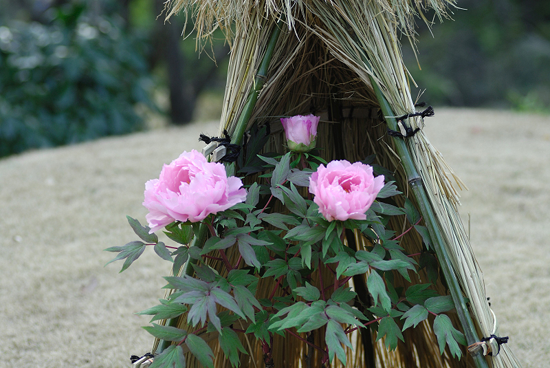 image0149