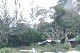 image0123