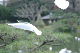 image0128