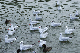 image0129
