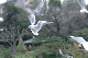 image0131