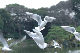 image0132