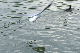 image0133