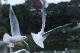 image0134
