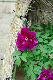 image0139